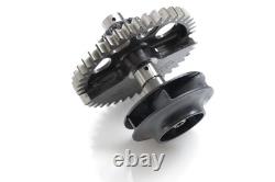 2016 KTM 1290 Super Duke R Pump Gear