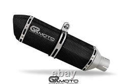 Échappement Pour KTM 1290 SUPER DUKE GT 2016 2025 GRmoto Silencieux En Carbone