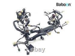 Faisceau de câblage KTM 1290 Super Duke R 2014-2016 (61311075033)