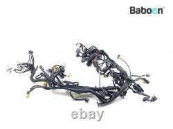 Faisceau de câblage KTM 1290 Super Duke R 2014-2016 (61311075033)