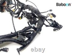 Faisceau de câblage KTM 1290 Super Duke R 2014-2016 (61311075033)
