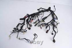 Faisceau électrique principal KTM 1290 SUPER DUKE R 2020-2024