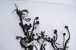 Faisceau électrique principal KTM 1290 SUPER DUKE R 2020-2024