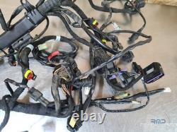Faisceau électrique principal KTM 1290 Superduke GT 2019 à 2024