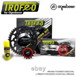Set Transmission TROFEO Chaîne Engrenage 17-38 KTM SUPER DUKE 1290 R GT